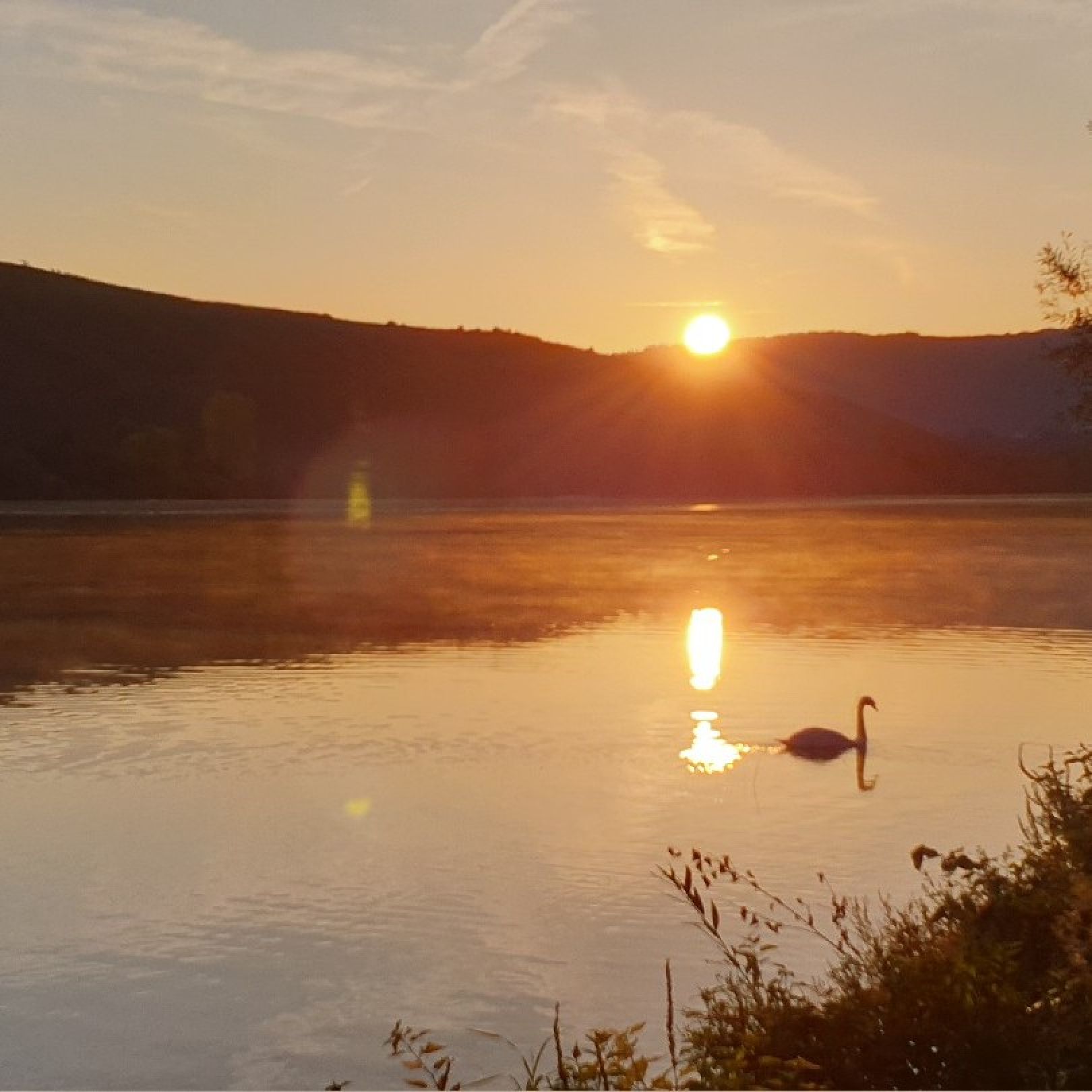 Angeln in Pölich