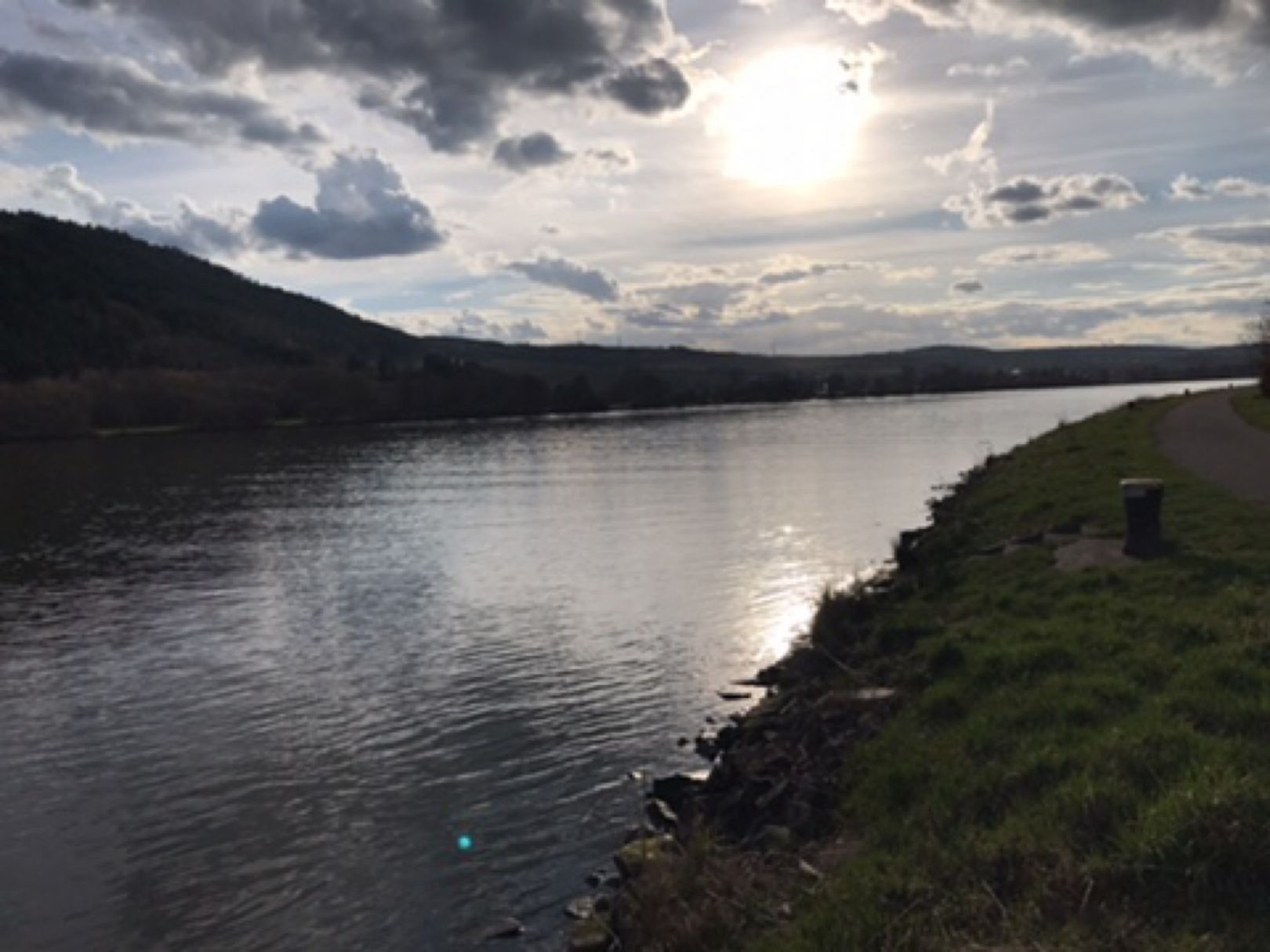 Mosel (Riol-Mehring) angeln