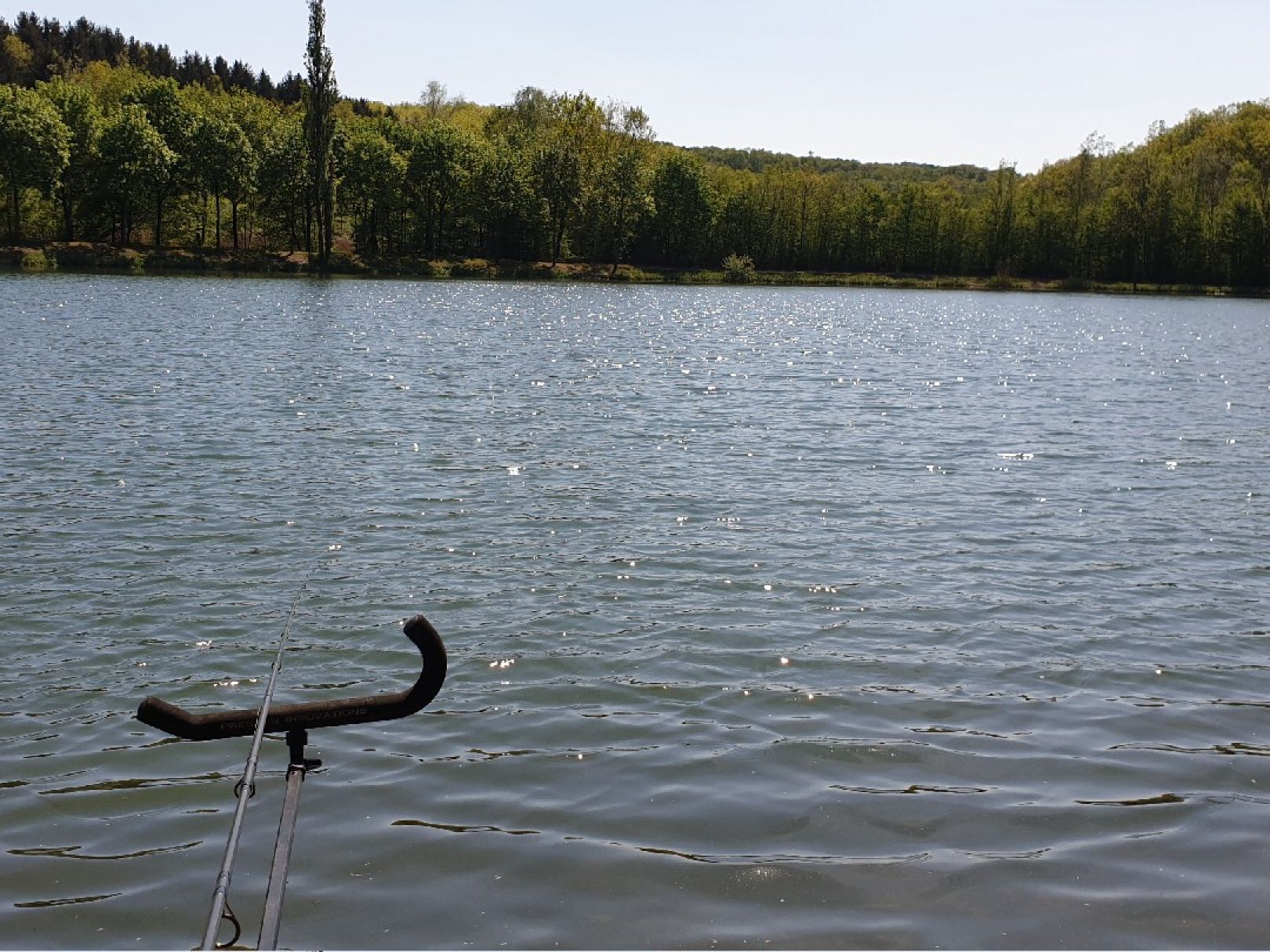 Absinkweiher (Fischbach) angeln