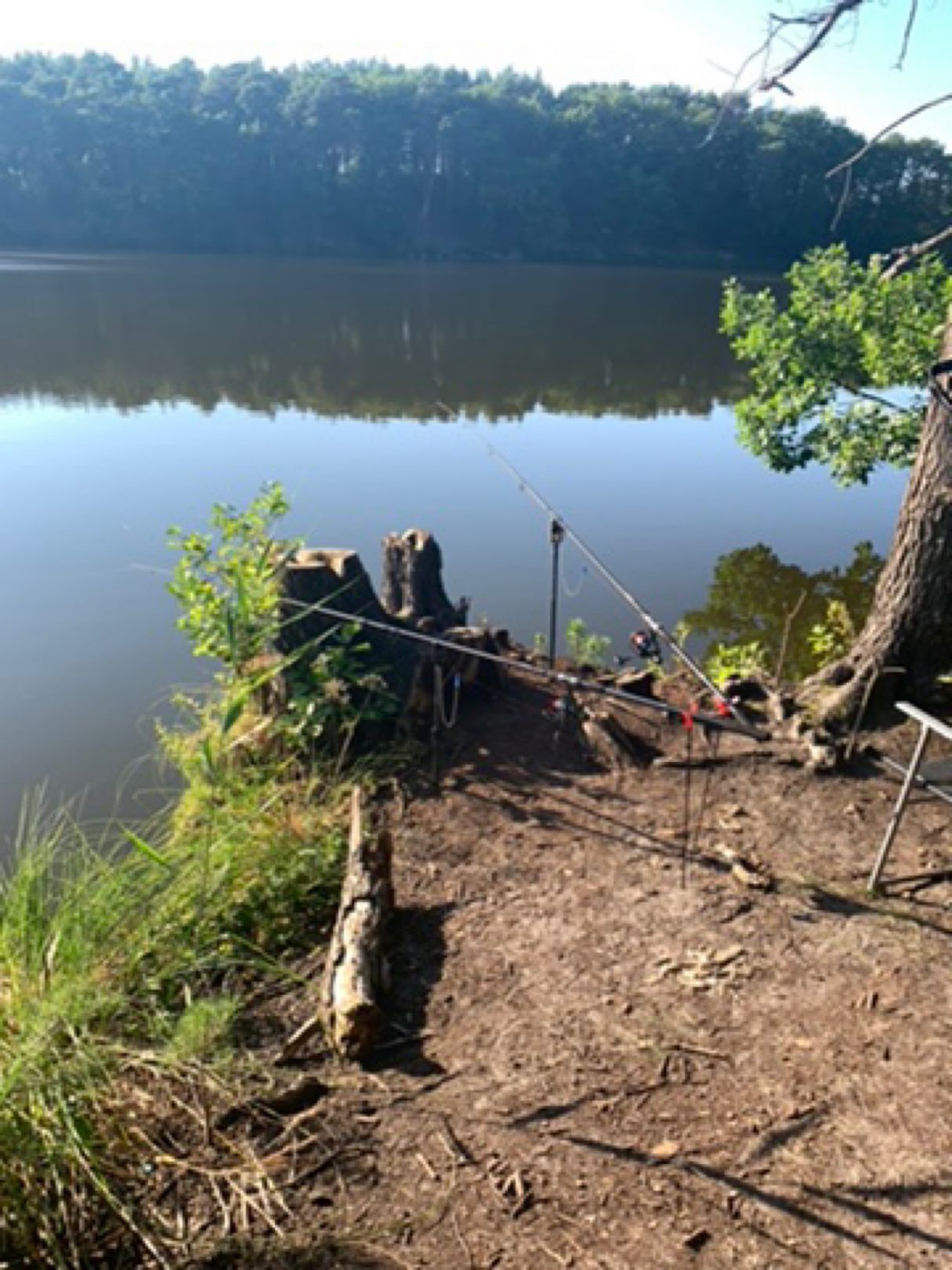 Pichersee (Gr. Wasserburg) angeln