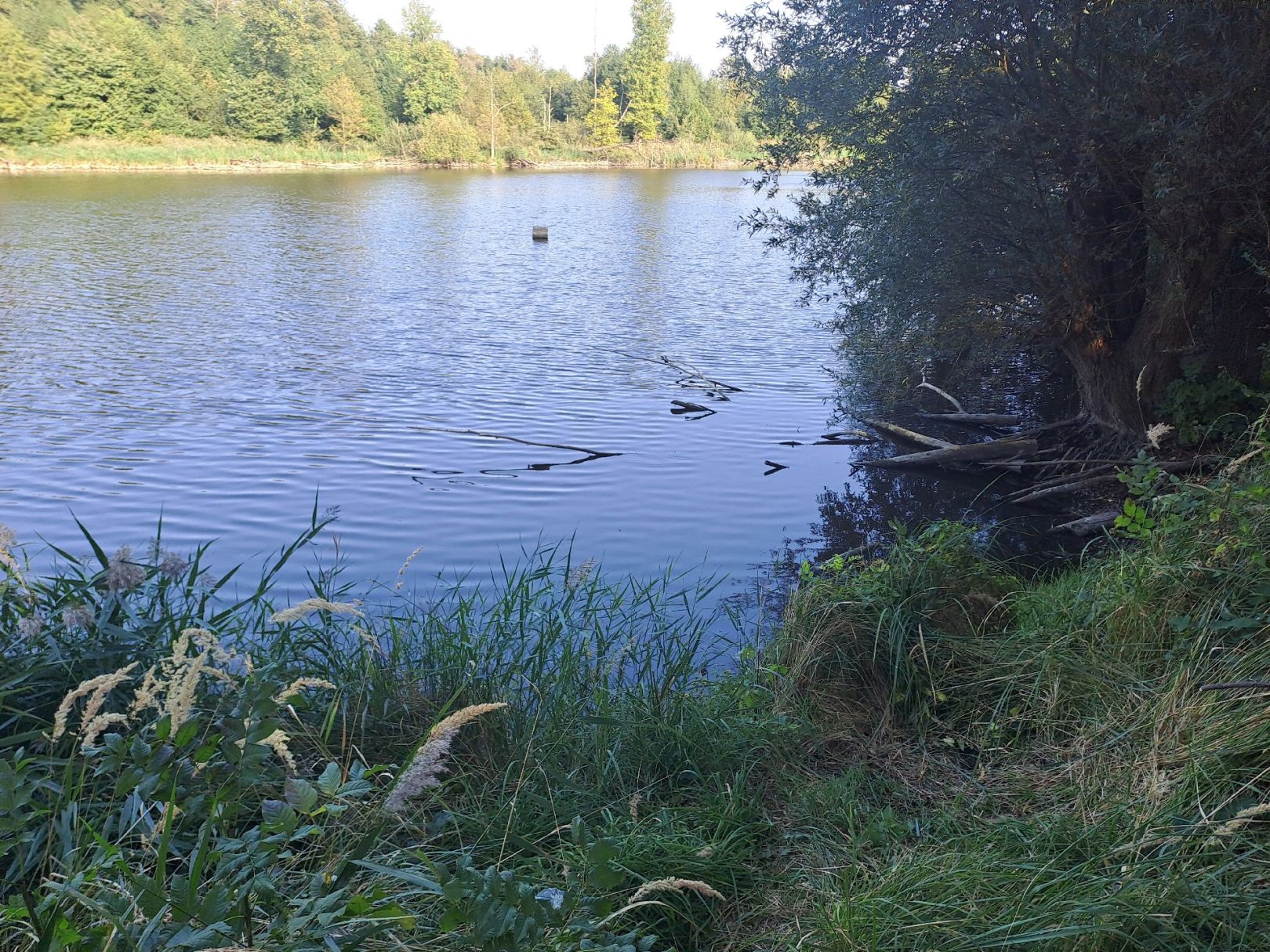 Priorter See angeln