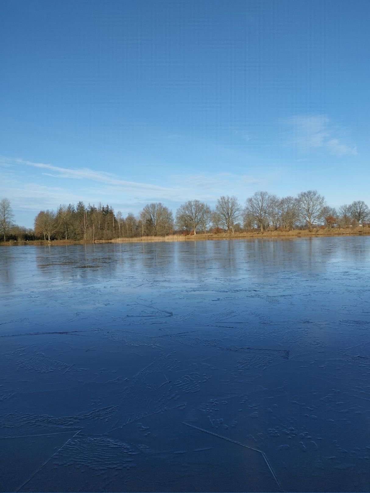 Baggersee Krogaspe angeln