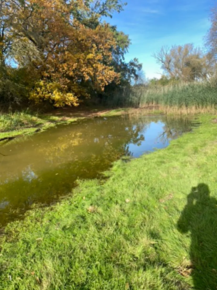 Döbberitz (Glindenberg) angeln