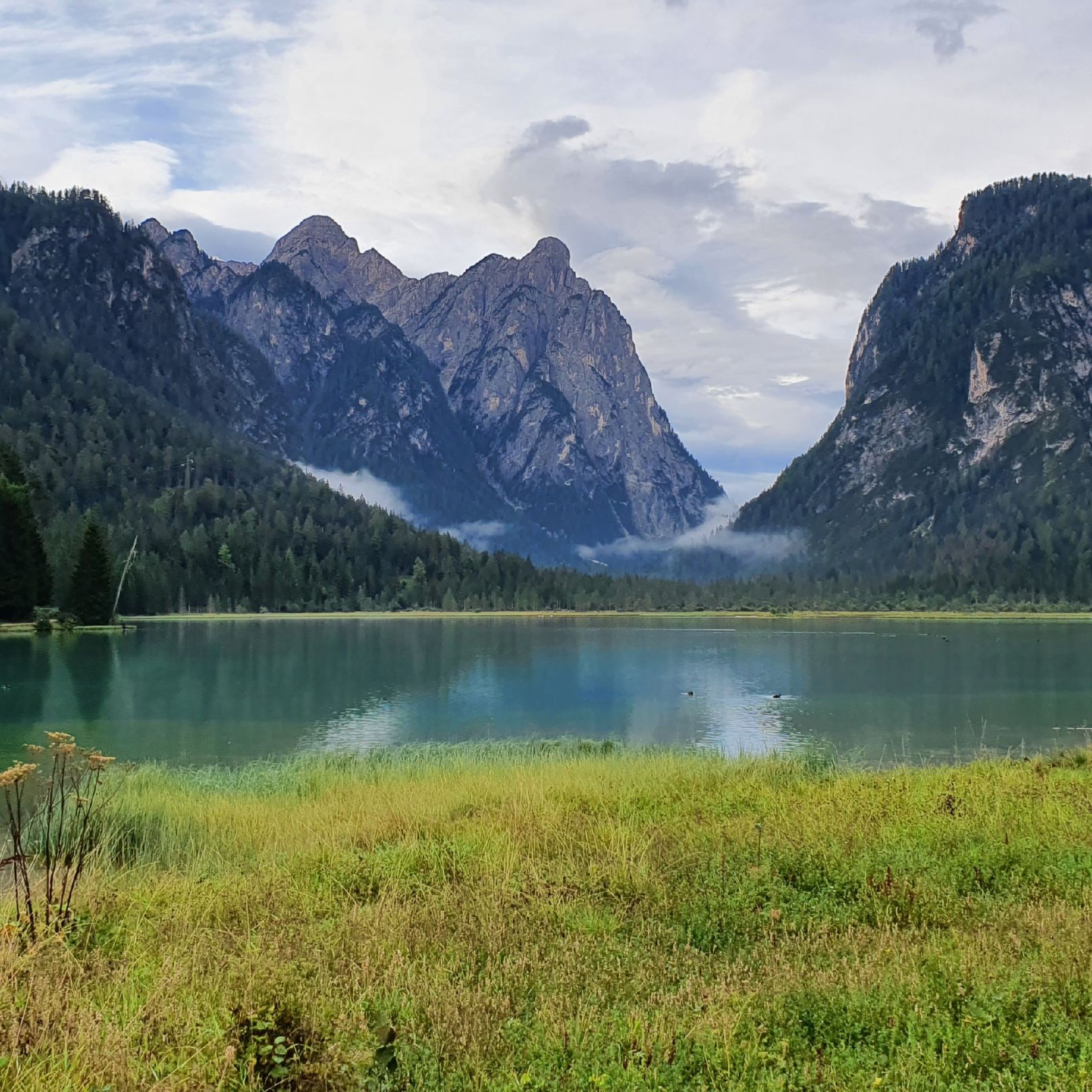 Lago di Dobbiaca (Toblacher See) angeln