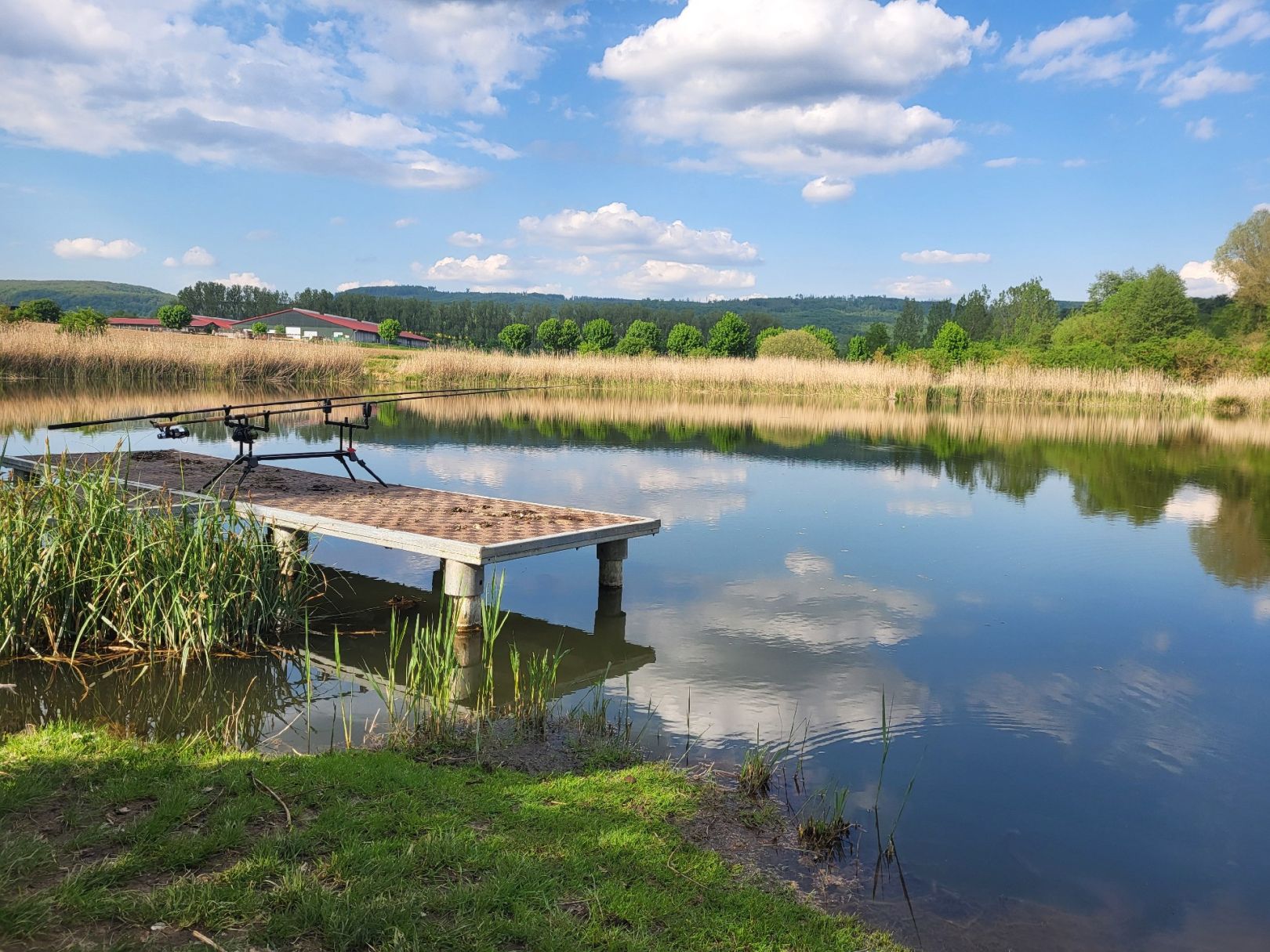 Großer See (Uftrungen) angeln