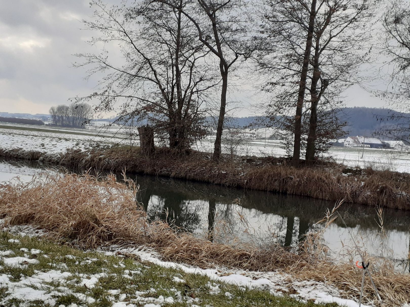 Angeln in Todtenweis