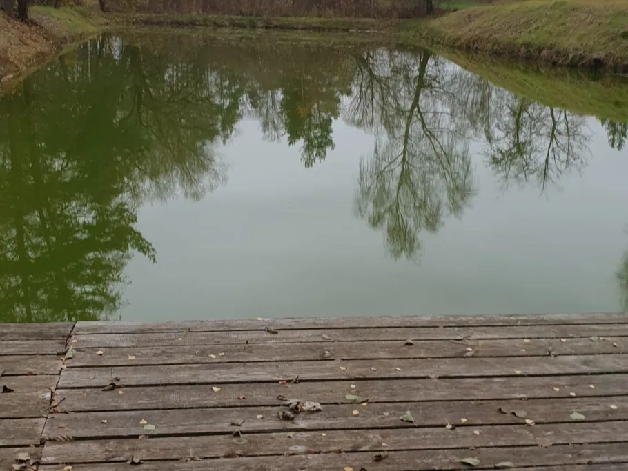 Feuerwehrweiher (Troschelhammer) angeln