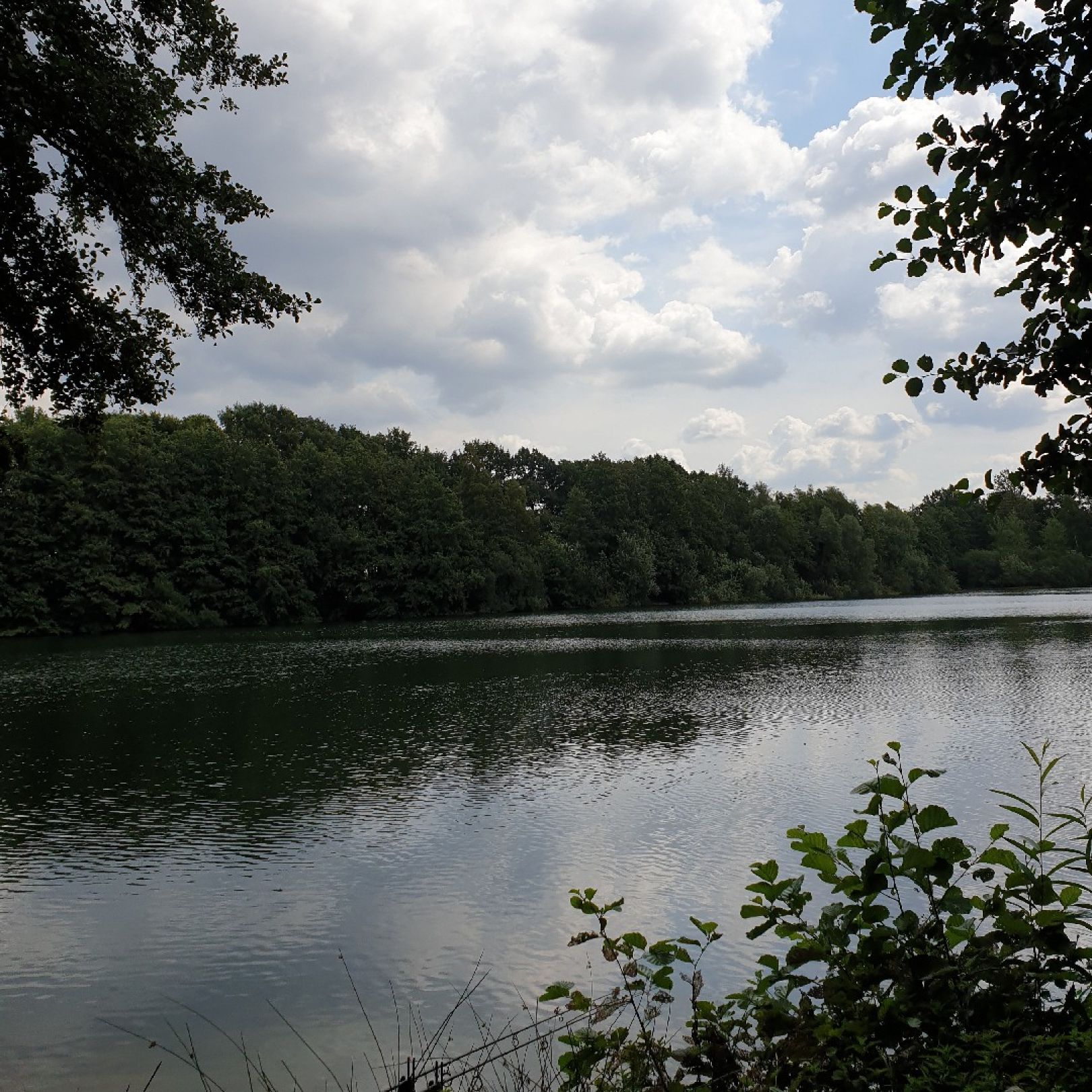 Leckisee (Harsewinkel) angeln