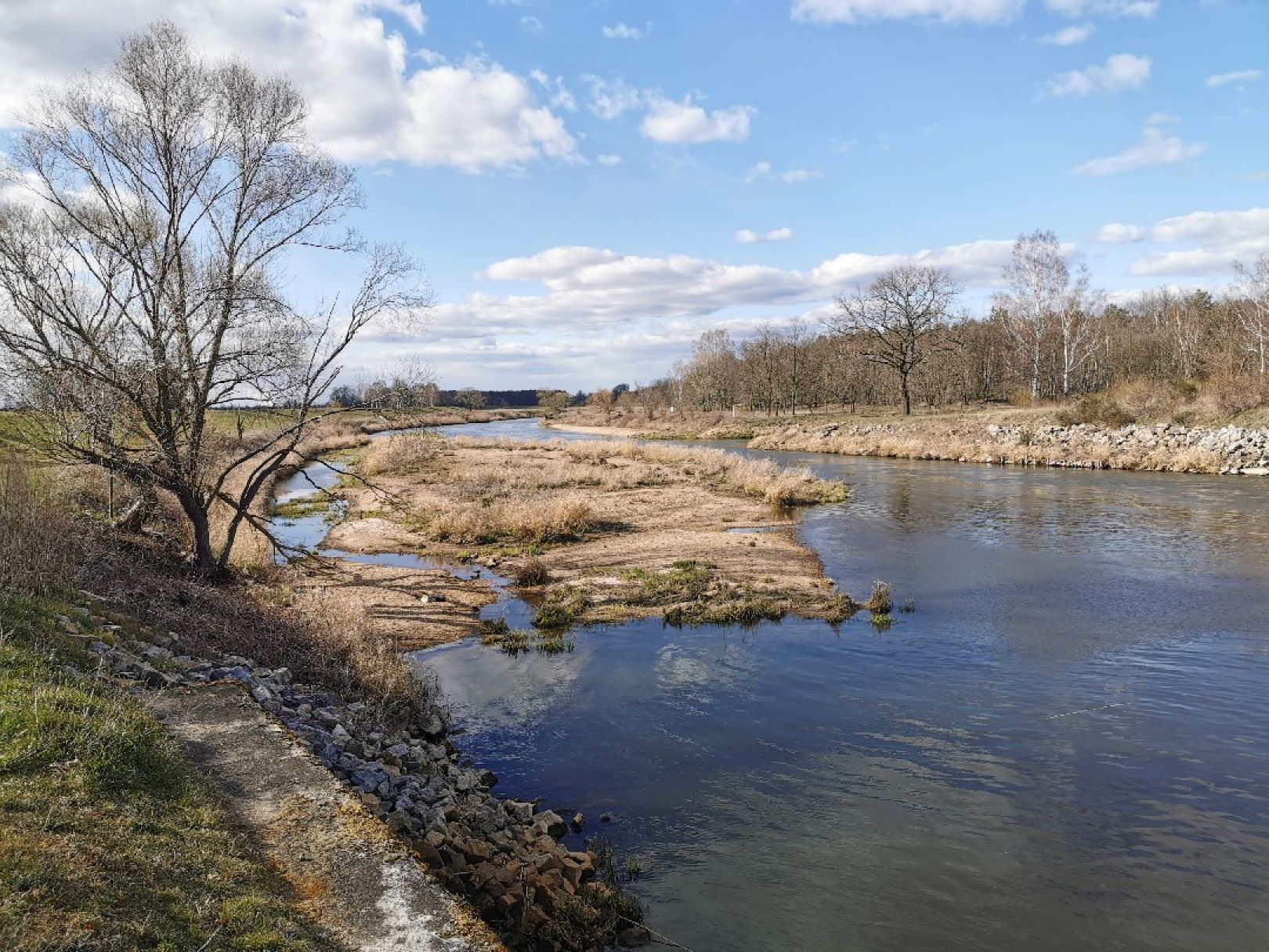 Lausitzer Neiße (Forst/Lausitz) angeln