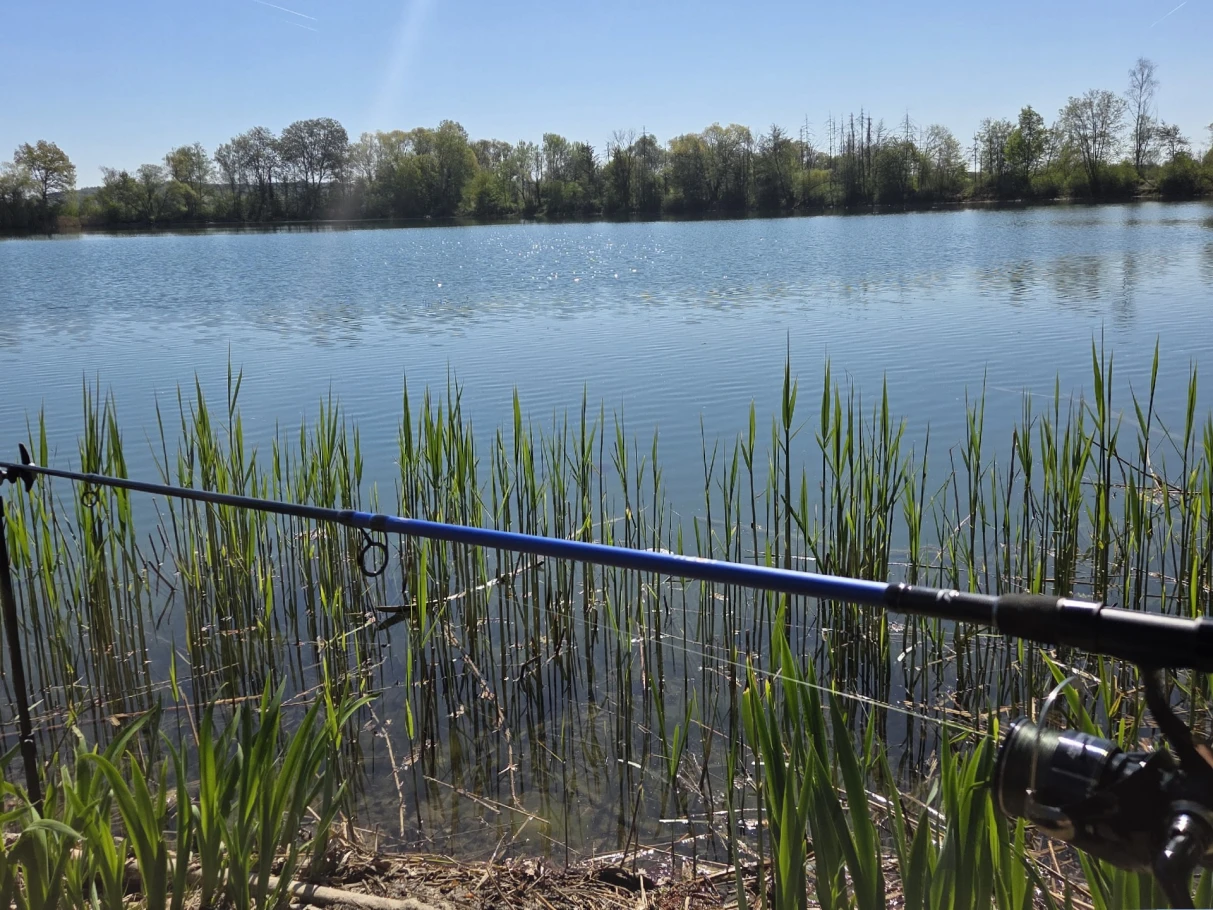 Sandsee 2 (Langweid) angeln