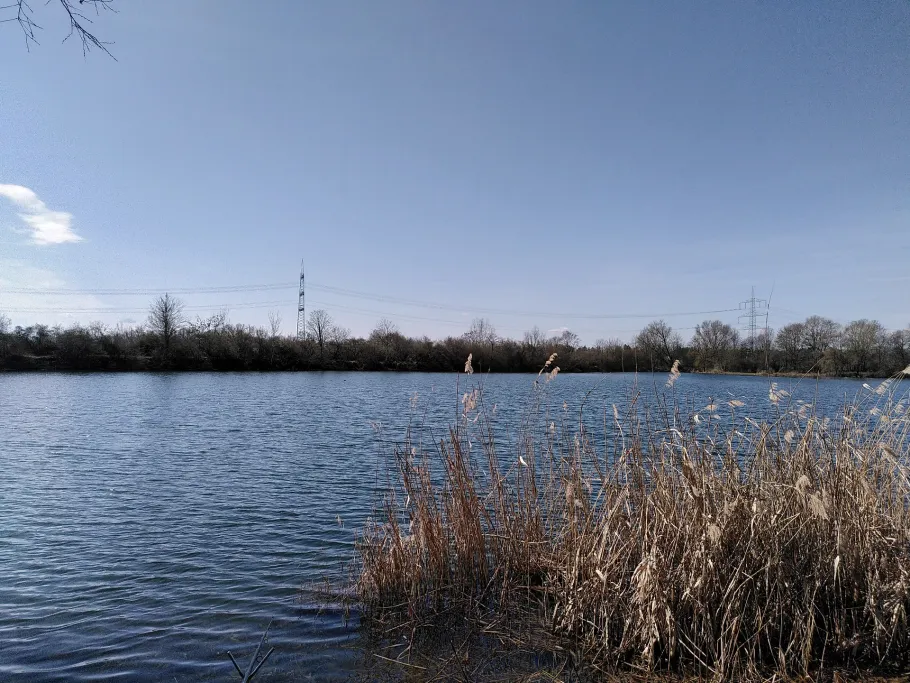 Sandsee 2 (Langweid) angeln