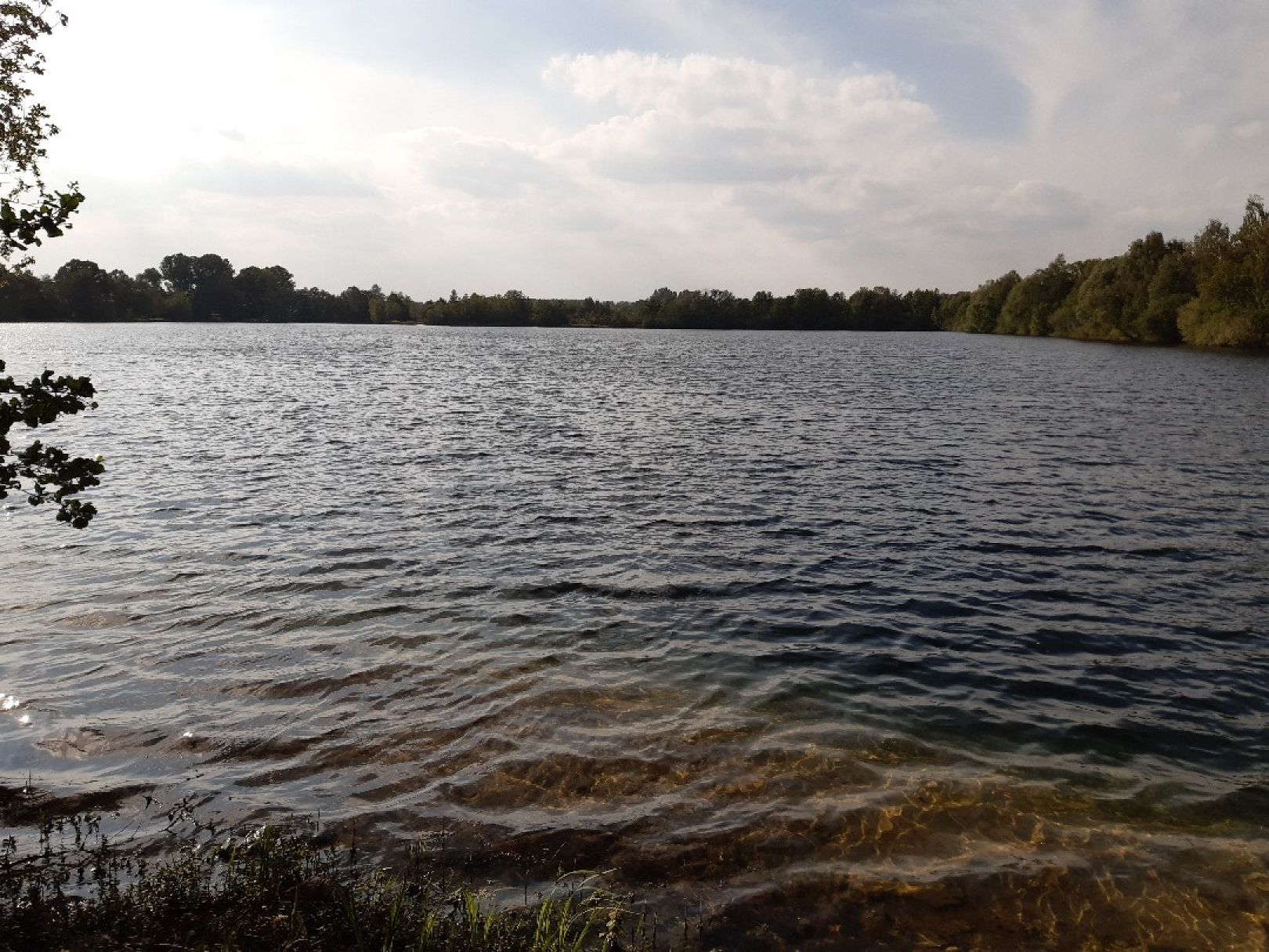 Heidesee (Mastholte) angeln