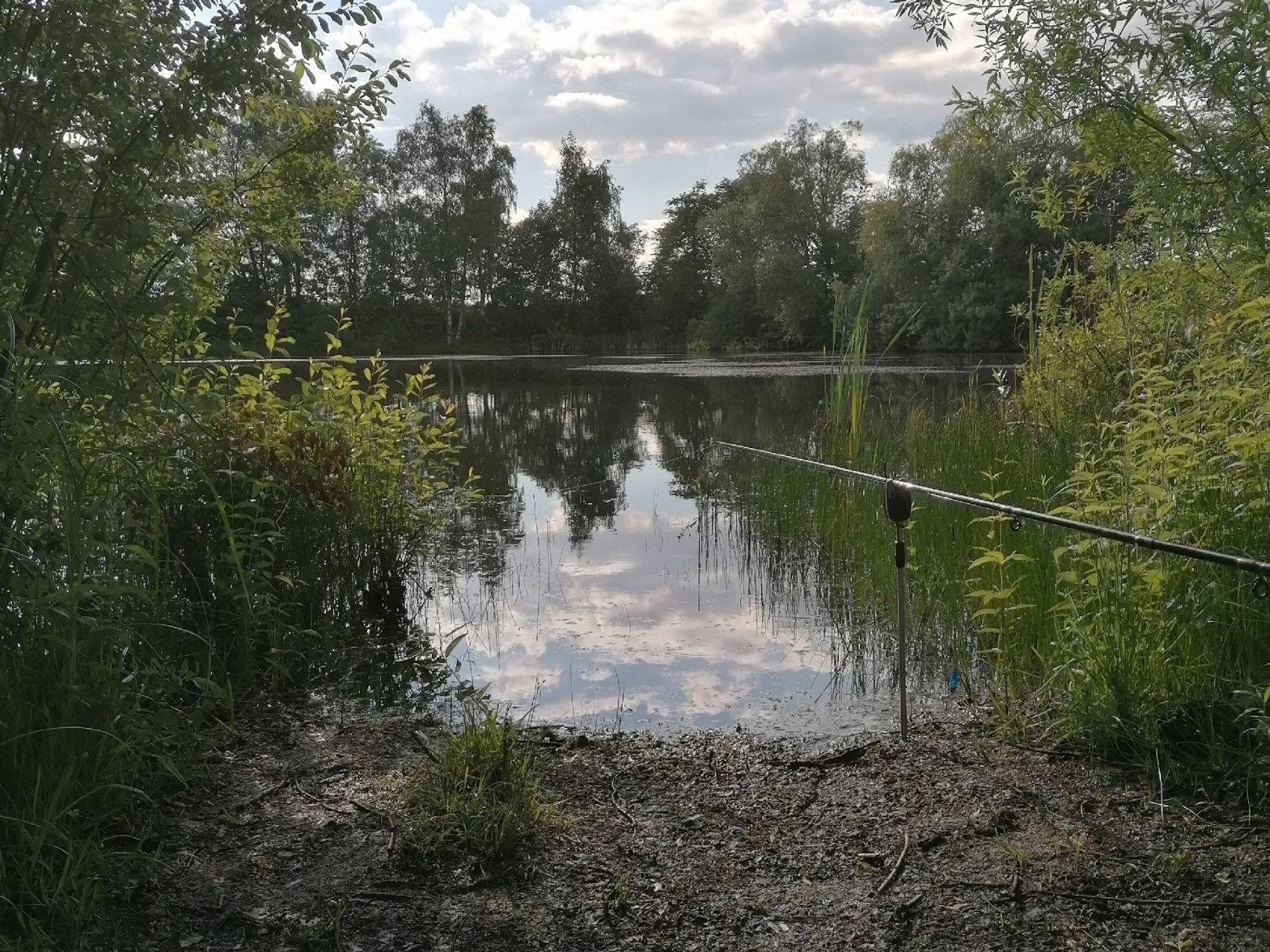 Ziegeleiteich Mohorn angeln