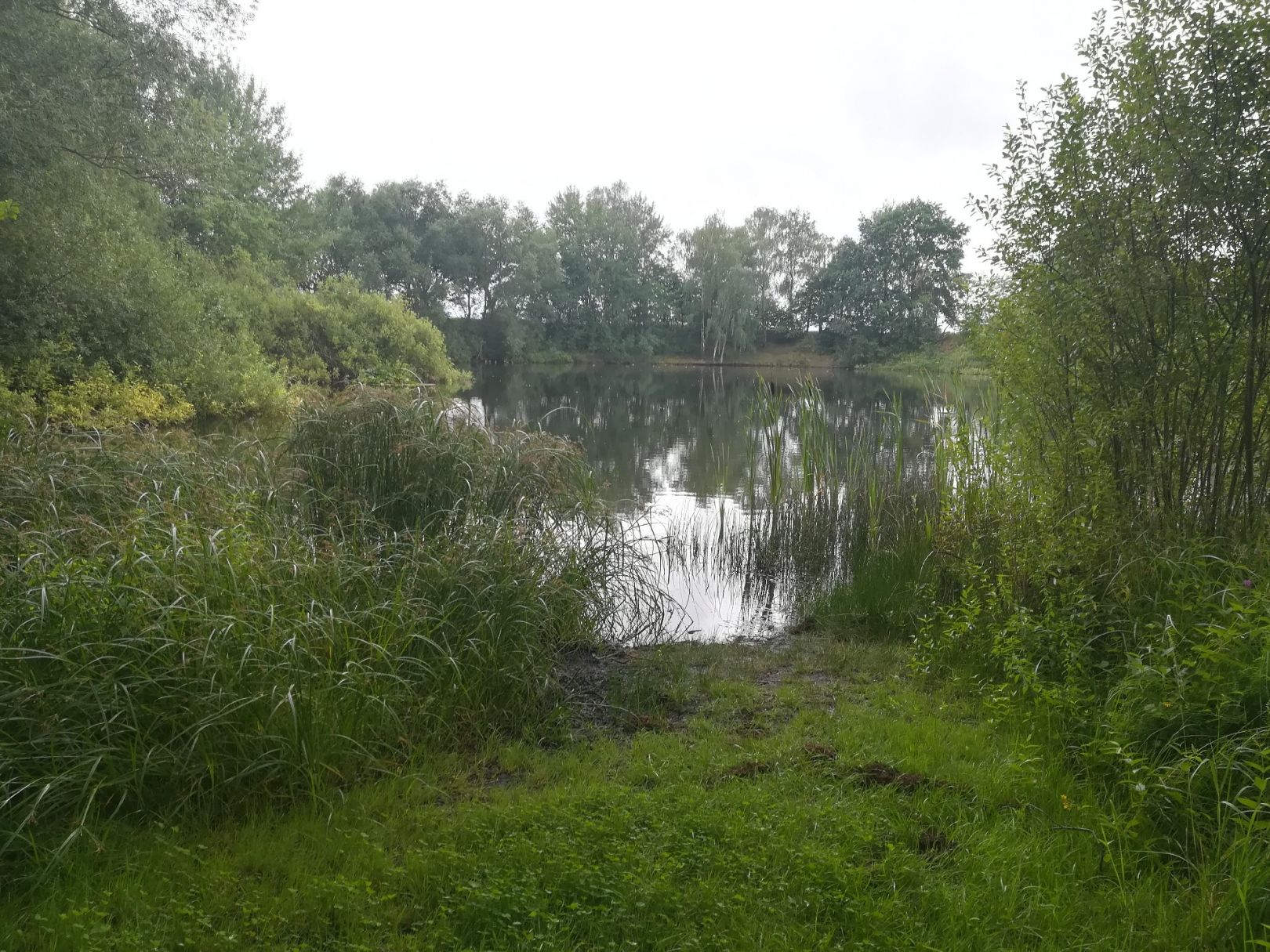 Ziegeleiteich Mohorn angeln