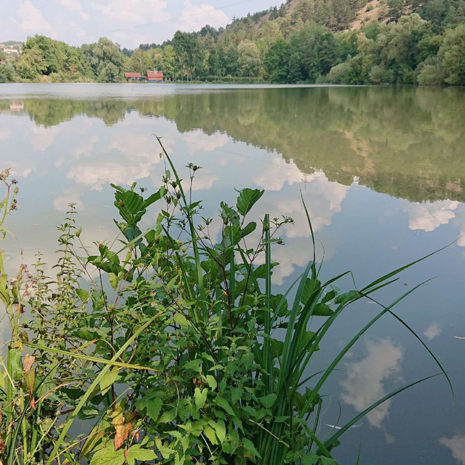 Eußenheimer See angeln