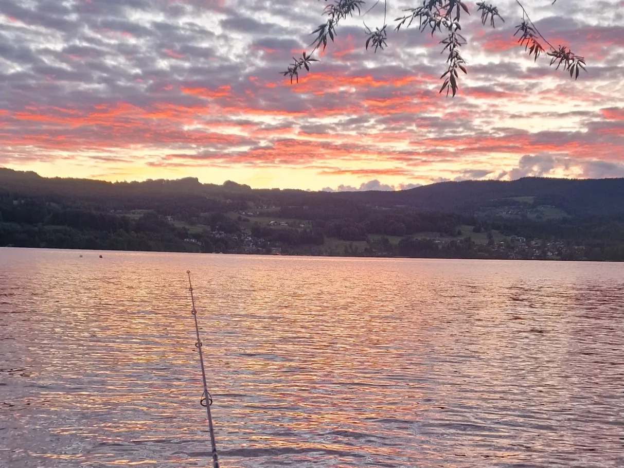 Attersee angeln