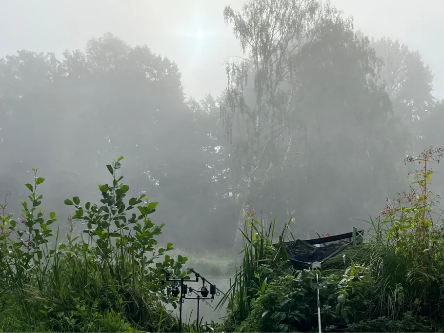 Hümmer Bruch angeln