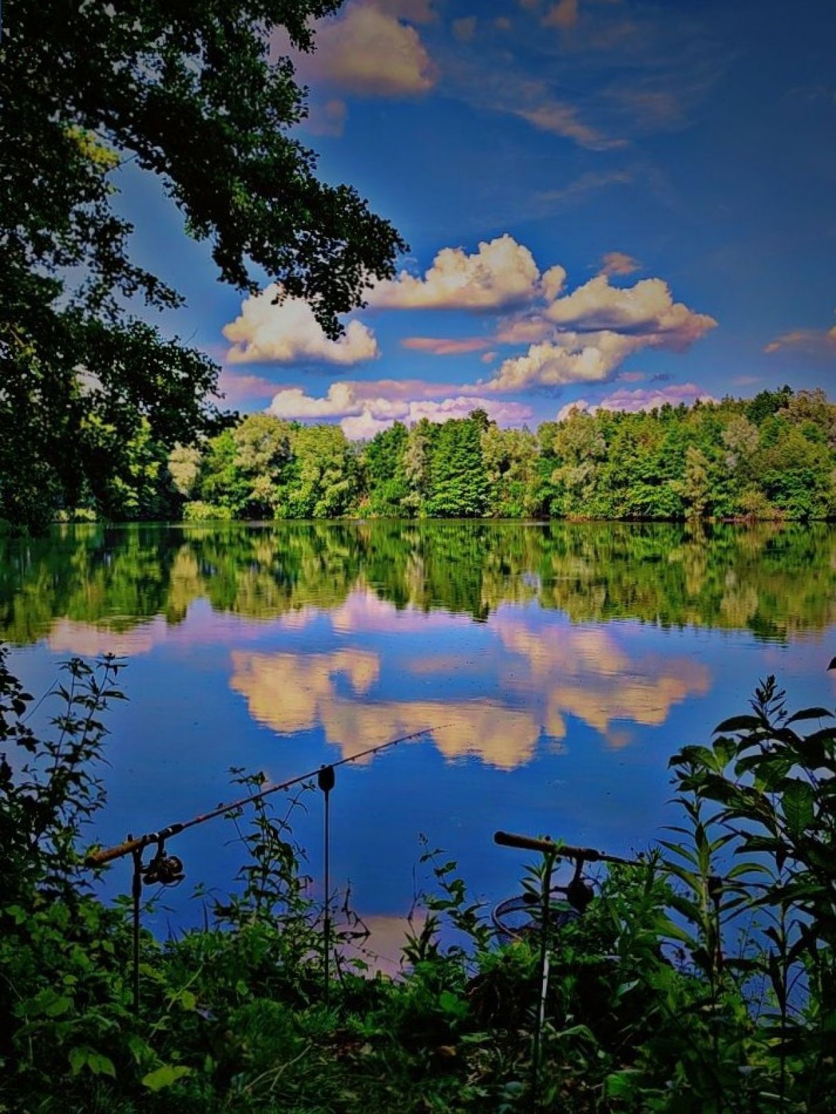 Brocksee angeln