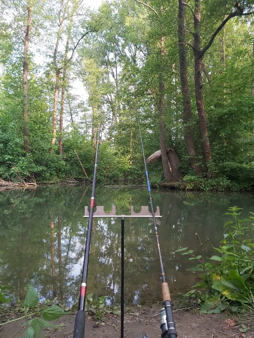 Johannisbach (Bielefeld) angeln