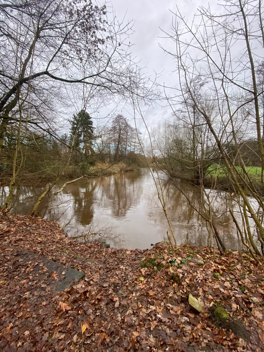 Mühlbach (Haltern am See) angeln