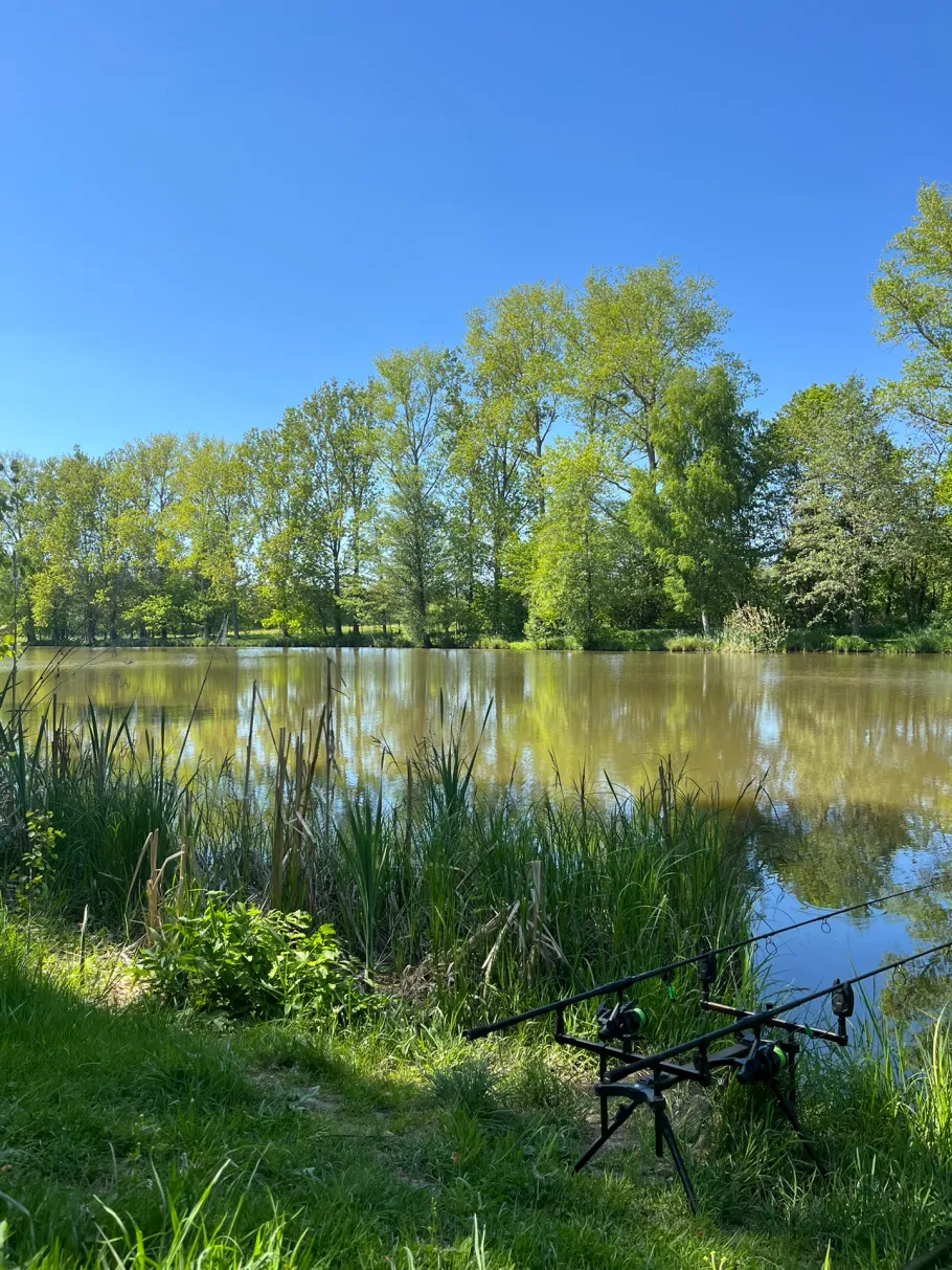 Paulmannsche Teiche angeln