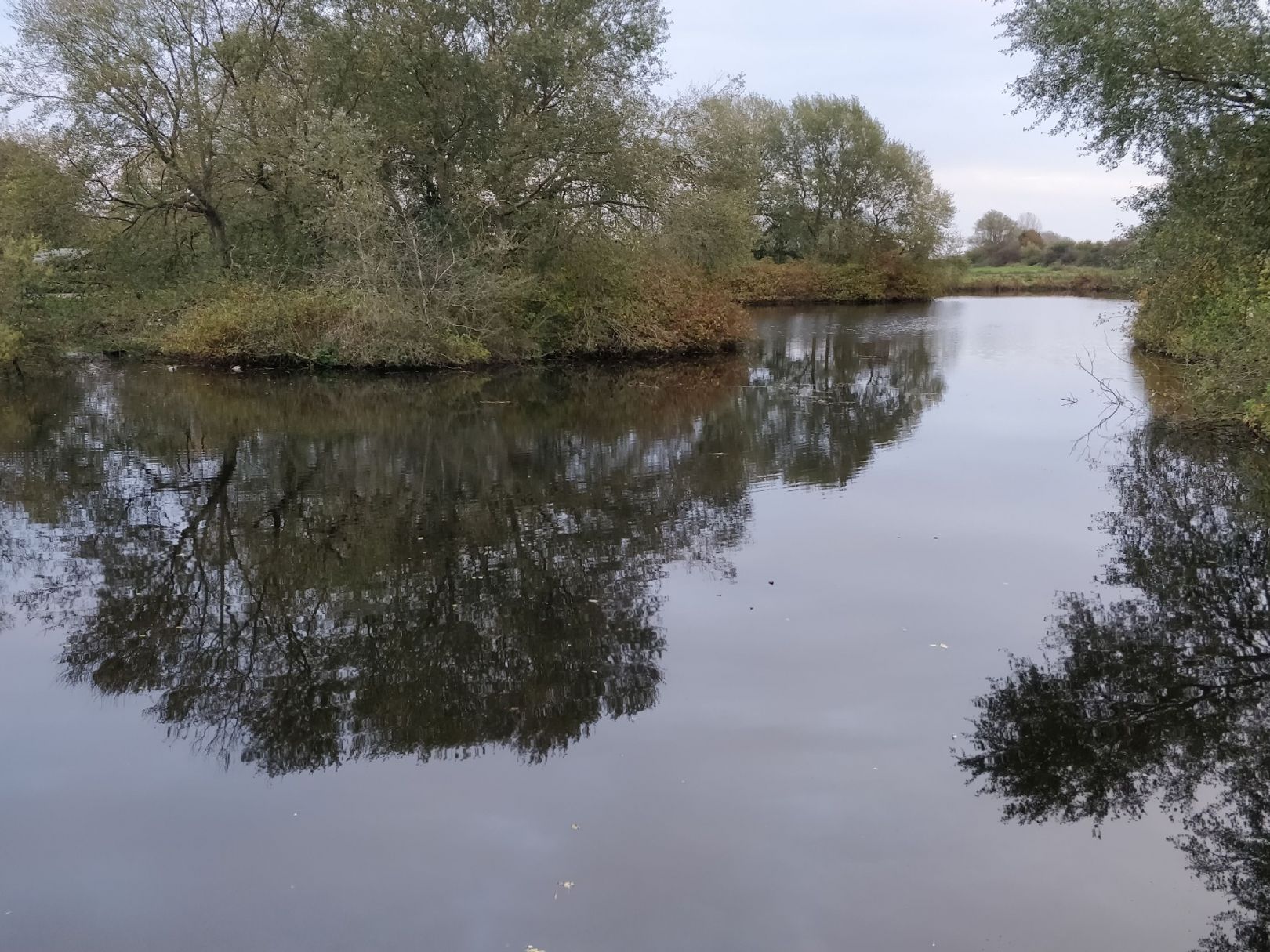 Teich am Ferienpark Holm angeln