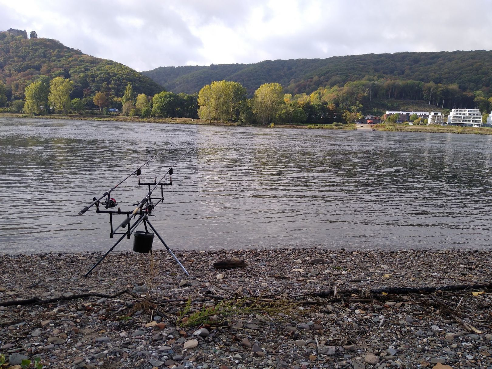 Rhein (Bad Breisig) angeln