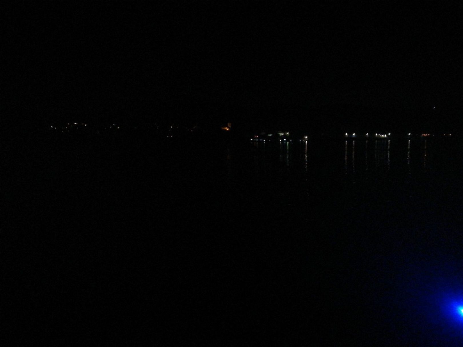 Rhein (Bad Breisig) angeln