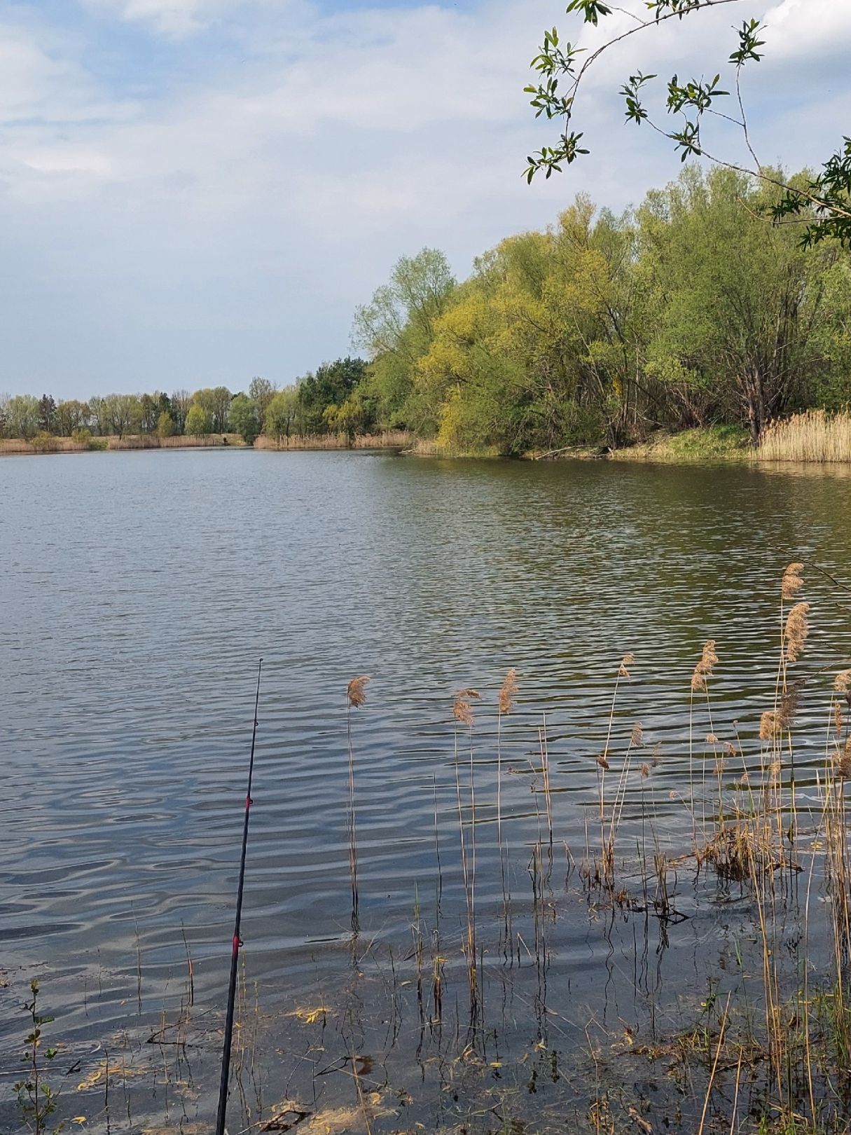 Speicher Dornswalde angeln