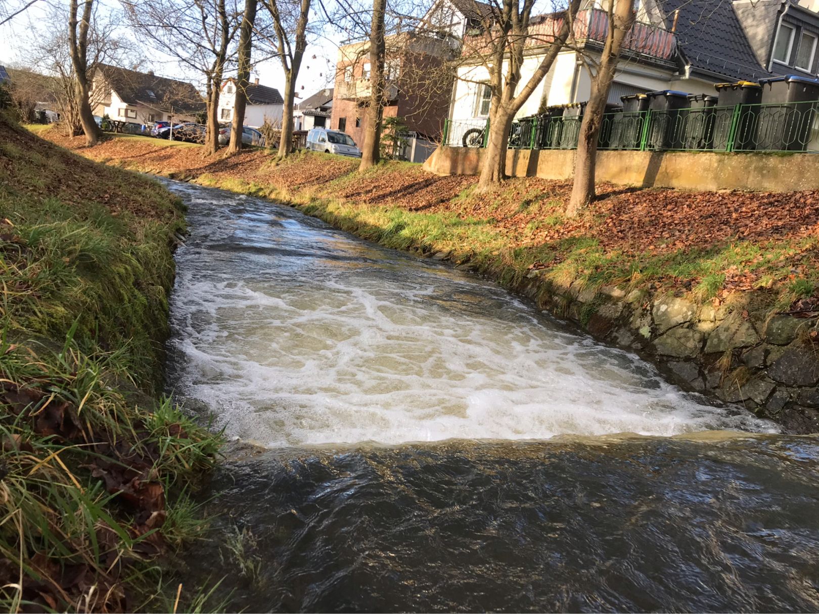 Erft (Bad Münstereifel) angeln