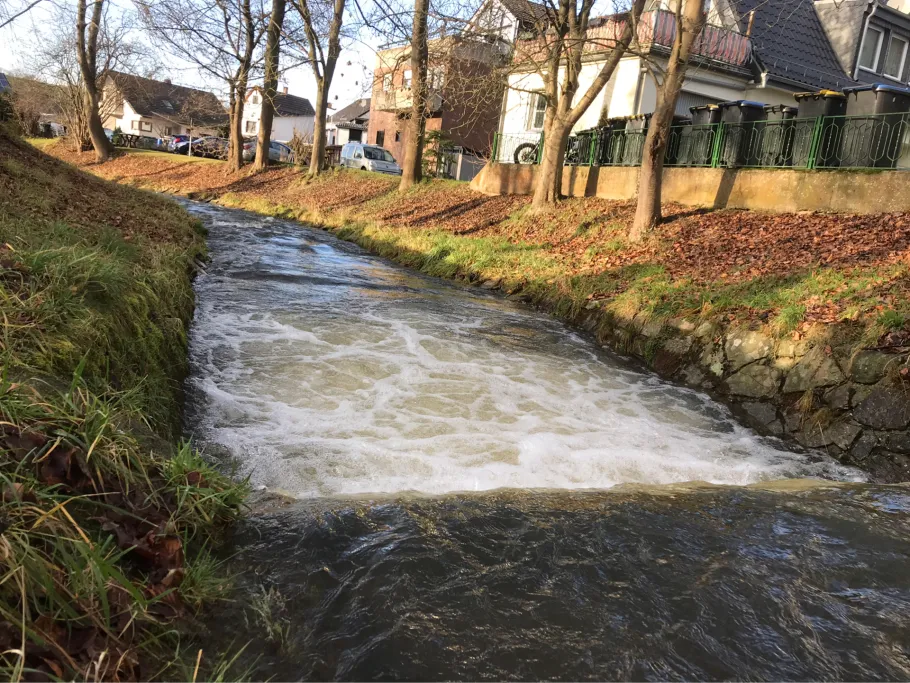 Erft (Bad Münstereifel) angeln