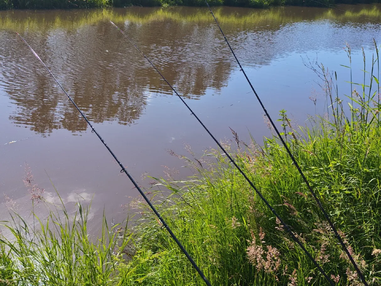 Große Süderbäke (Apen) angeln