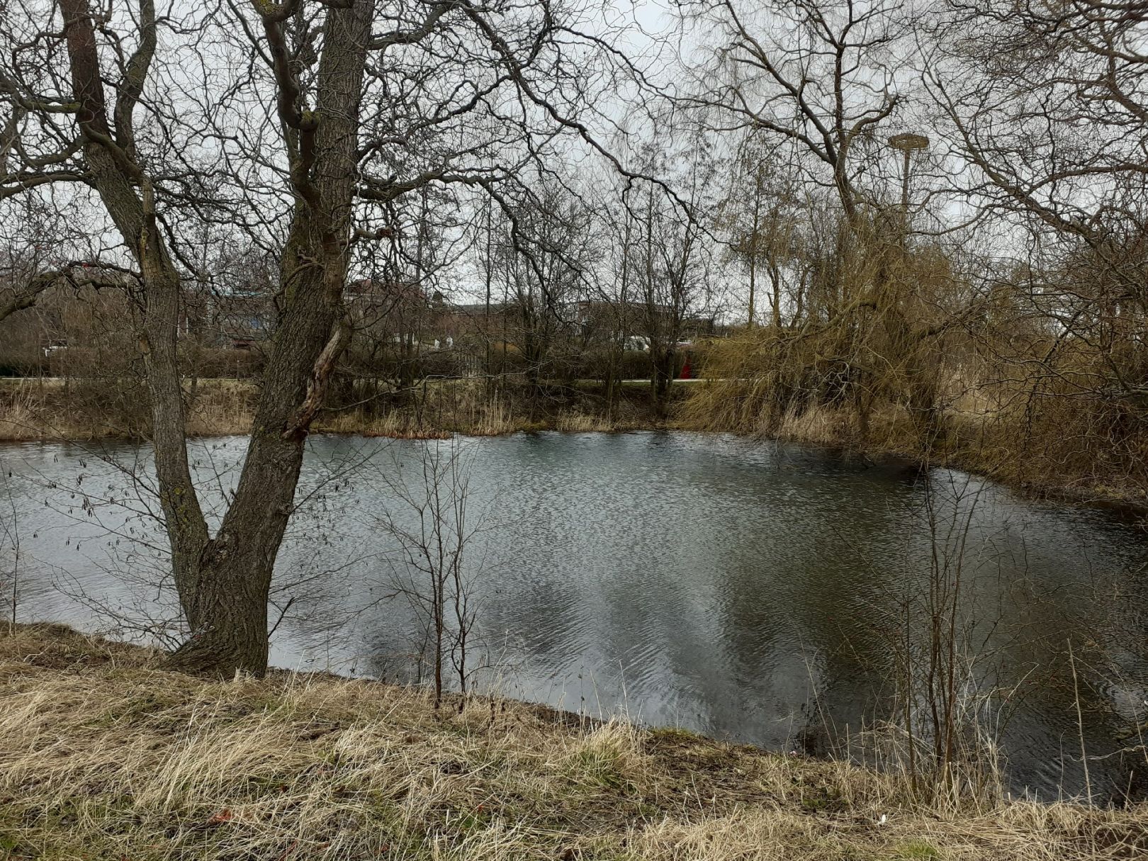 Dorfteich Kerspleben angeln