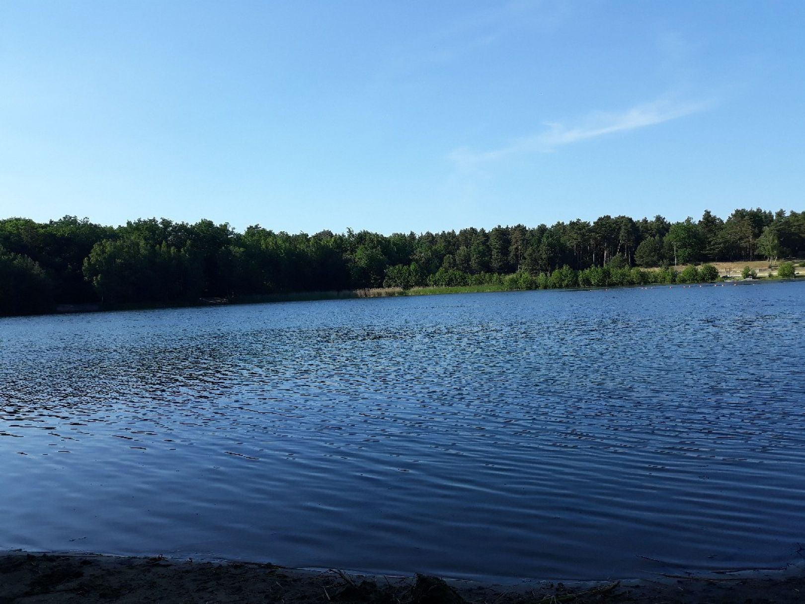 Friedensteich (Wittenberge) angeln