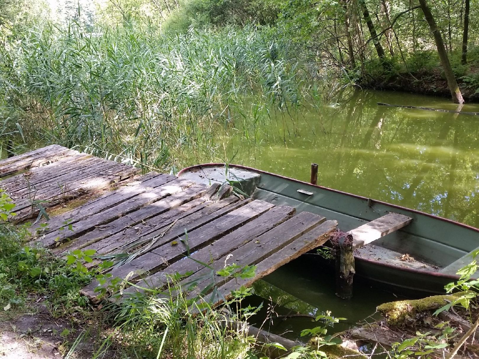 Töpchiner Untersee angeln