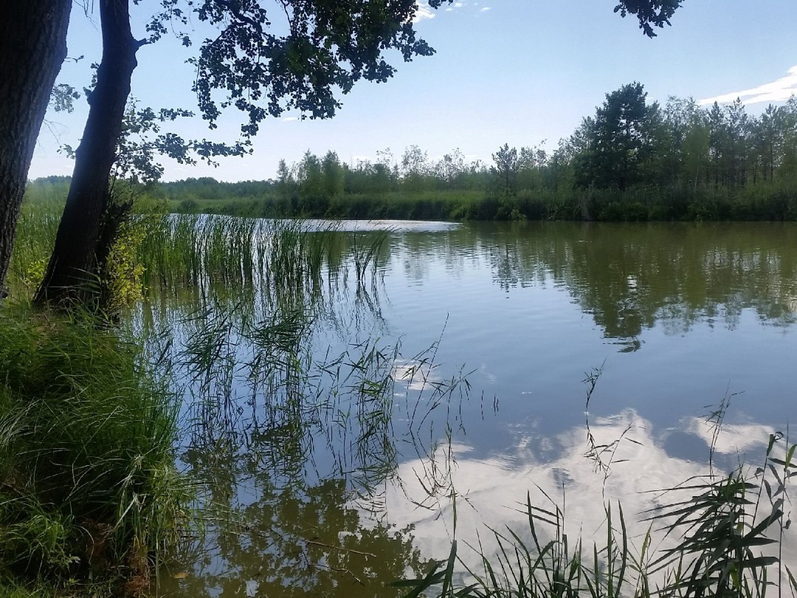Töpchiner Untersee angeln