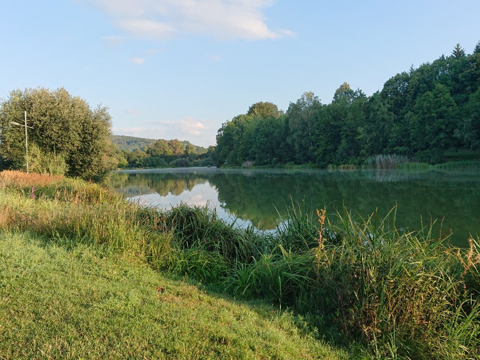 Stausee Sohland angeln