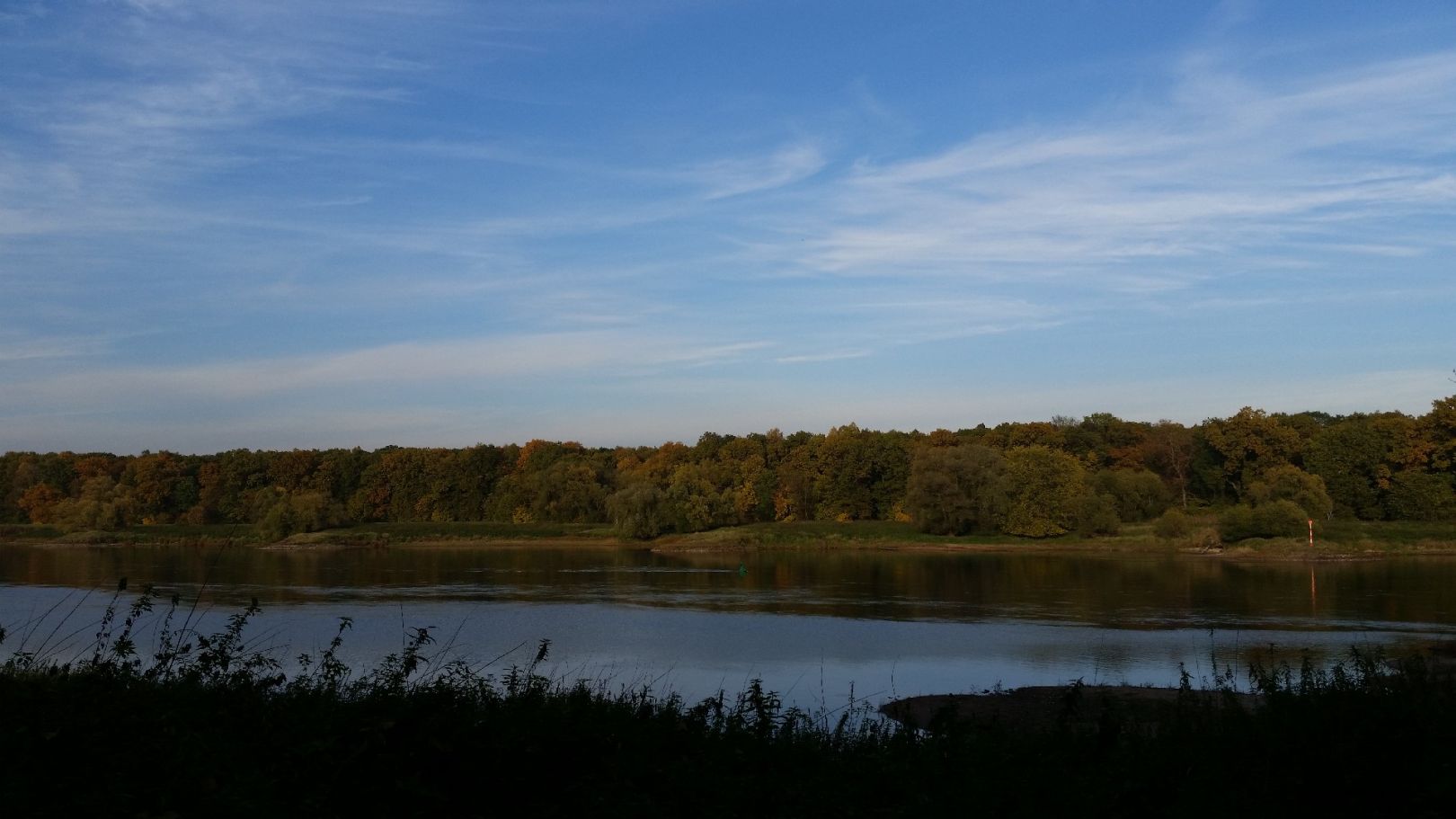 Elbe (Breitenhagen) angeln