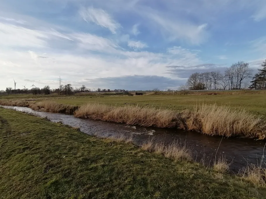 Linnau (Riesbriek) angeln