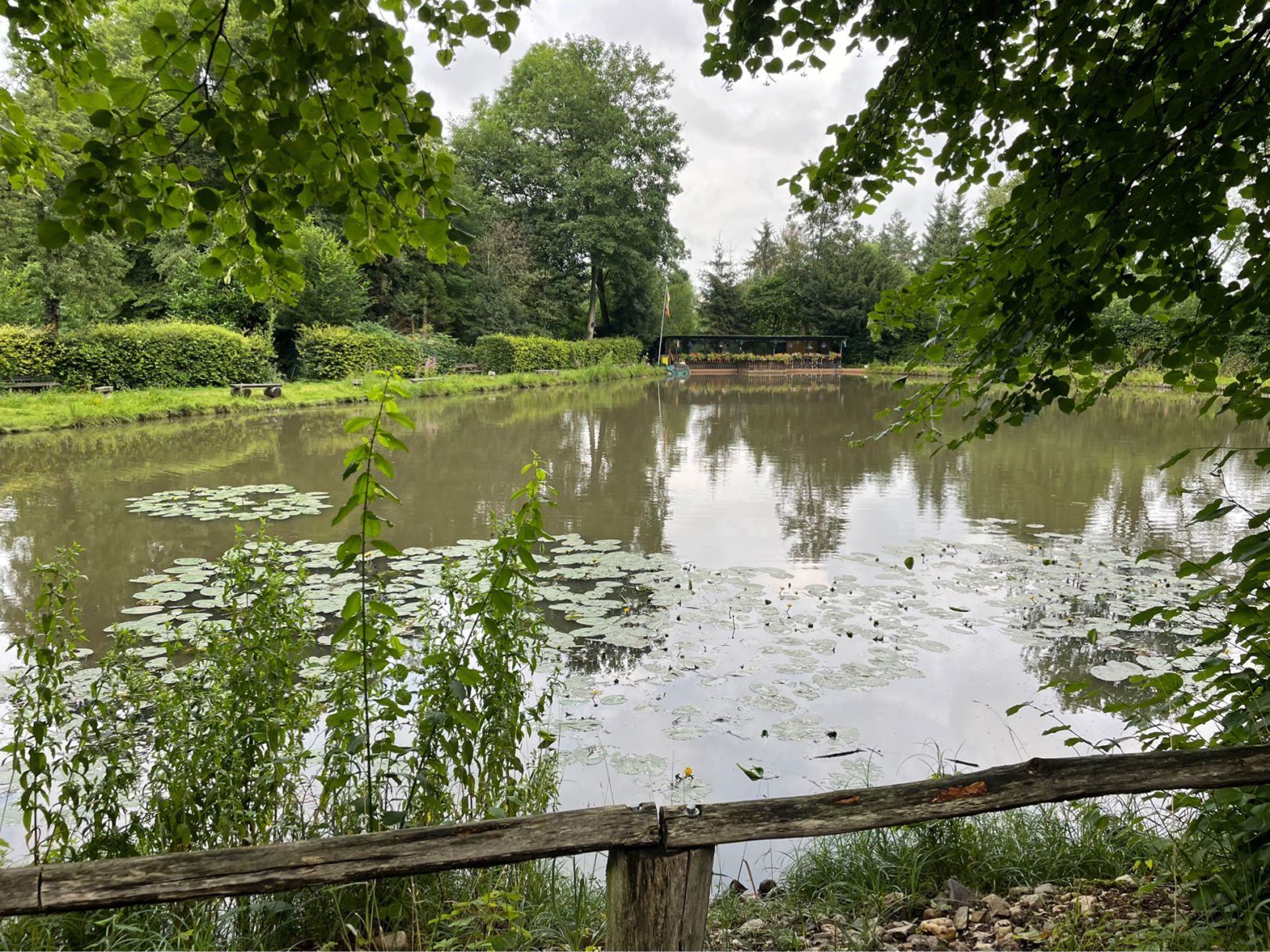 Mahlweiher (Bachem) angeln