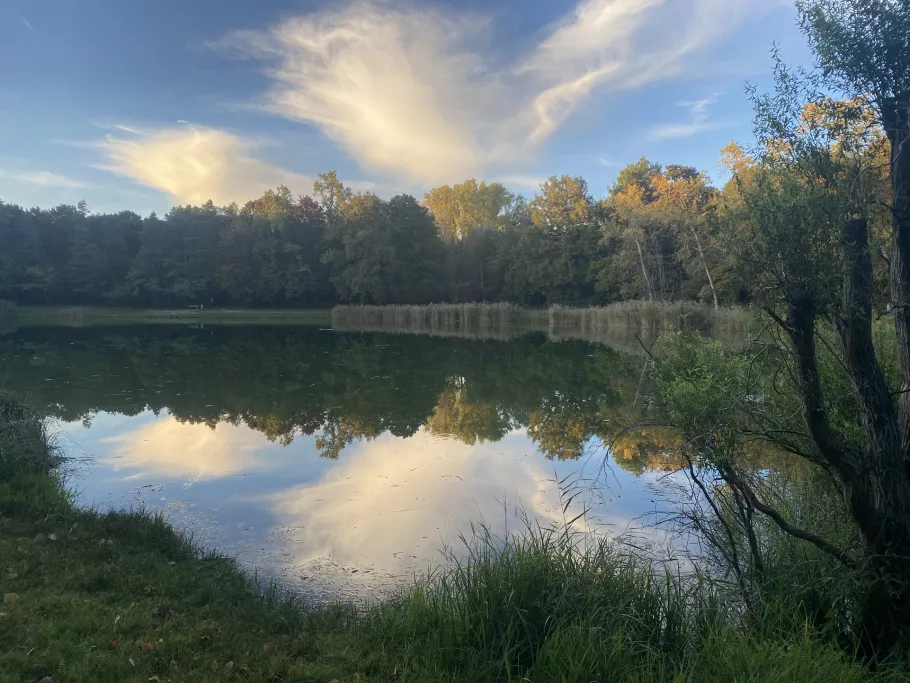 Sasbacher Badesee (Sasbach am Kaiserstuhl) angeln