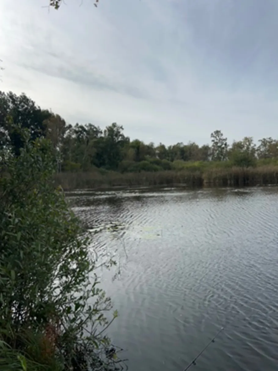 Landratsgraben (Remplin) angeln