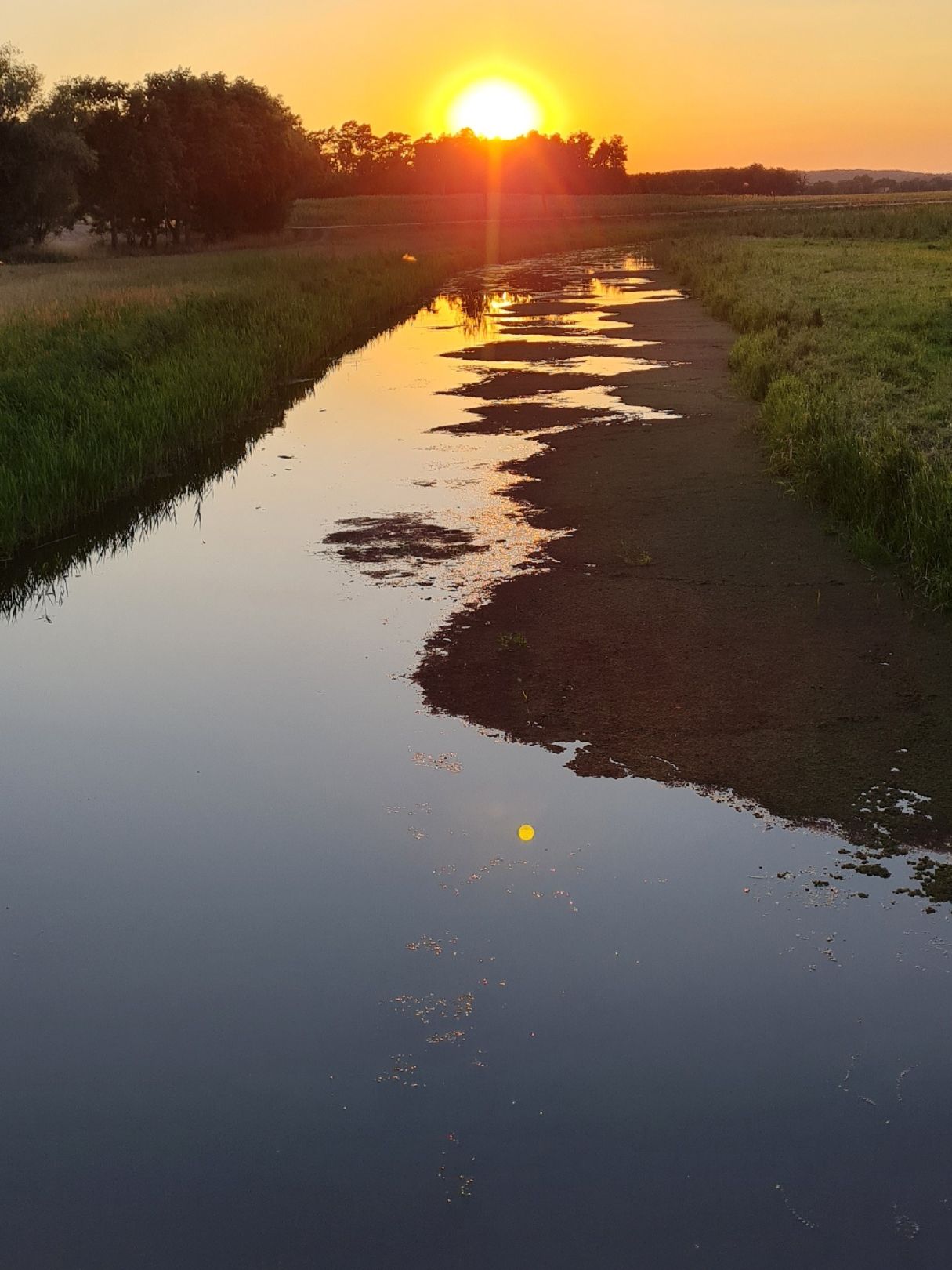 Warnauer Vorfluter angeln