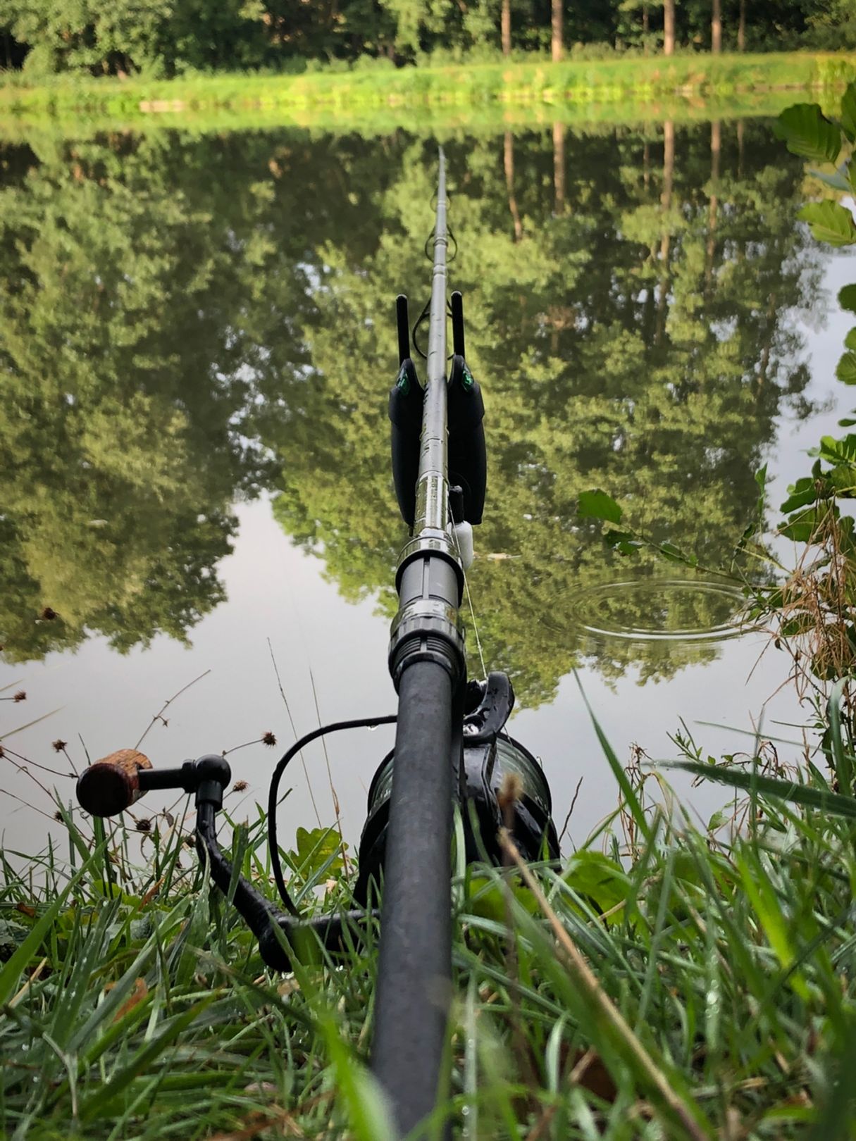 Büttendorfer Teich angeln