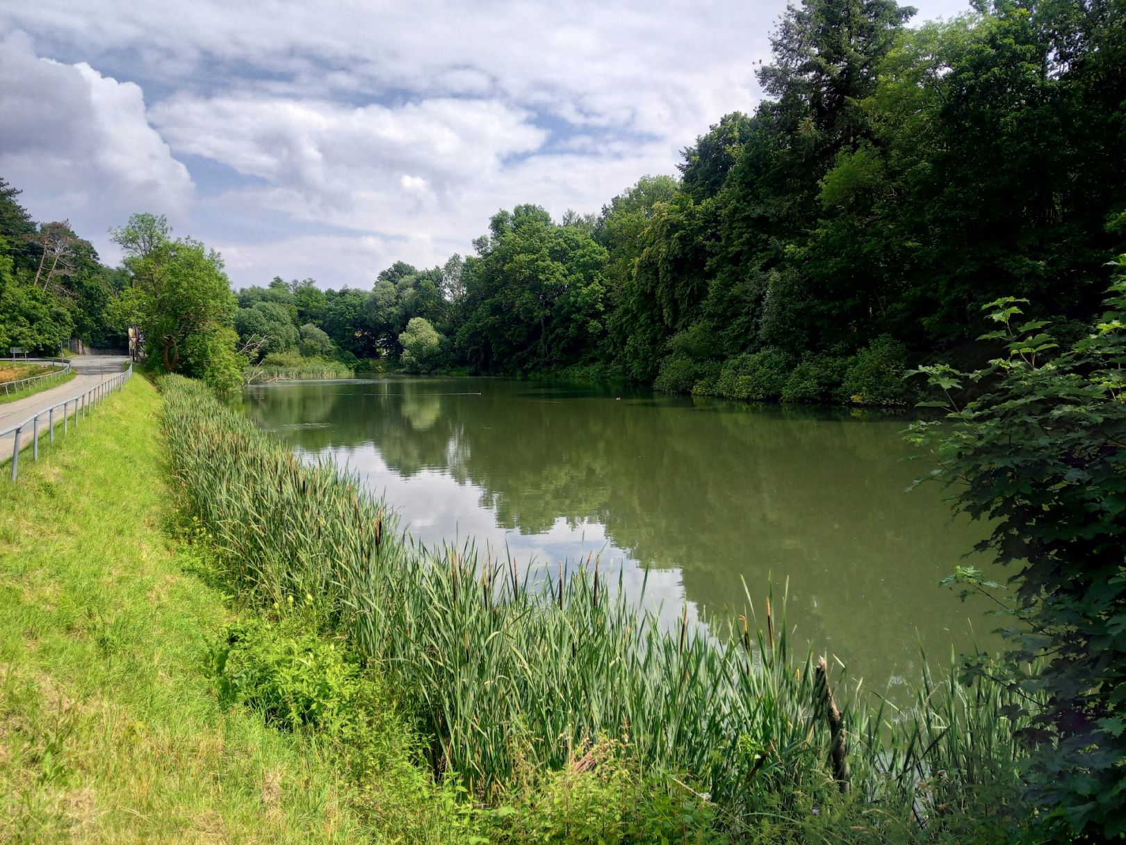 Kunstteich (Harzgerode) angeln