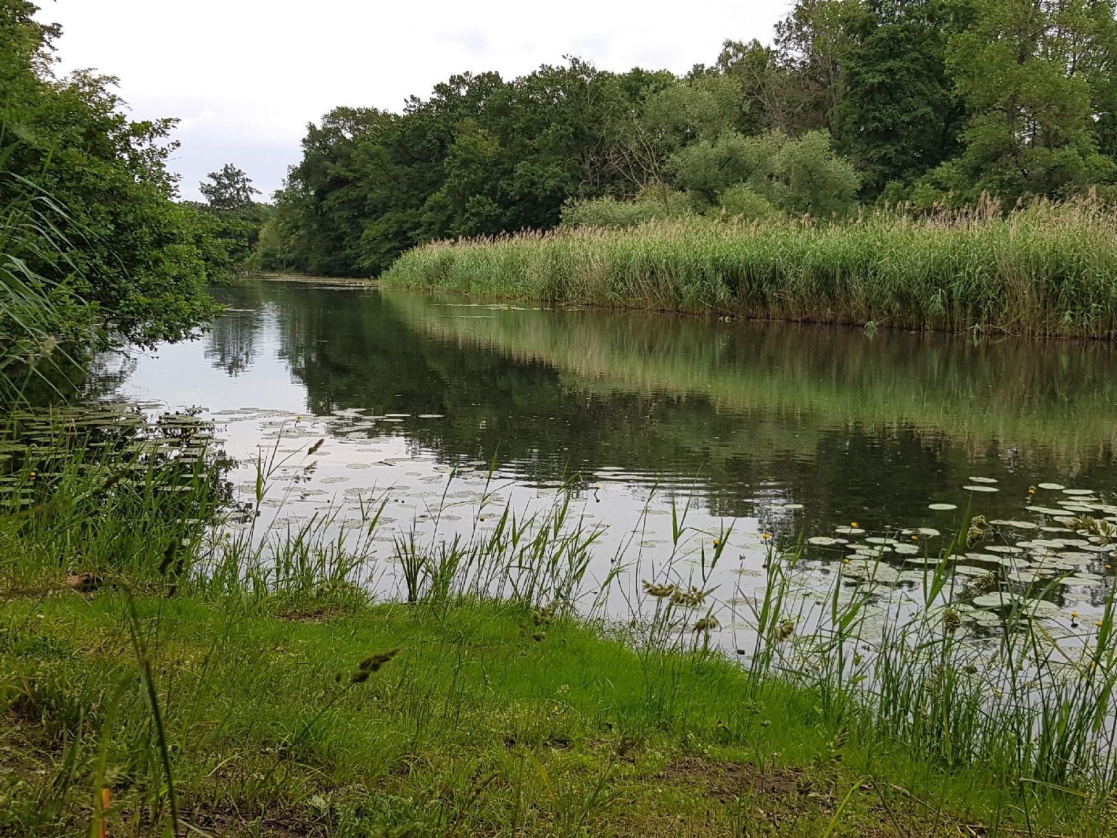 Möster Altes Wasser angeln