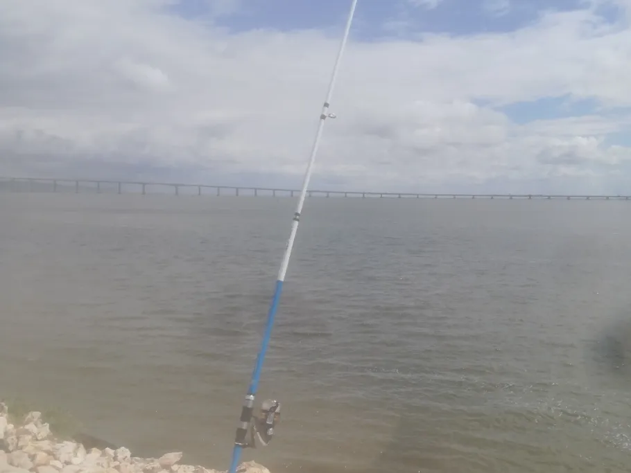 Tejo (Lissabon) angeln