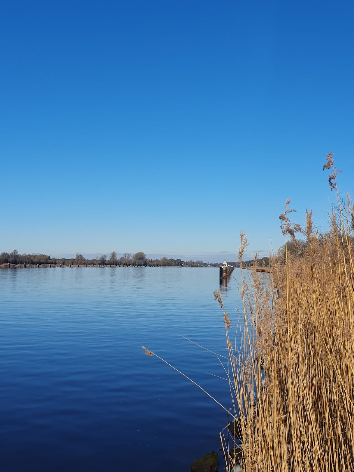 Nord-Ostsee-Kanal (Schülp) angeln