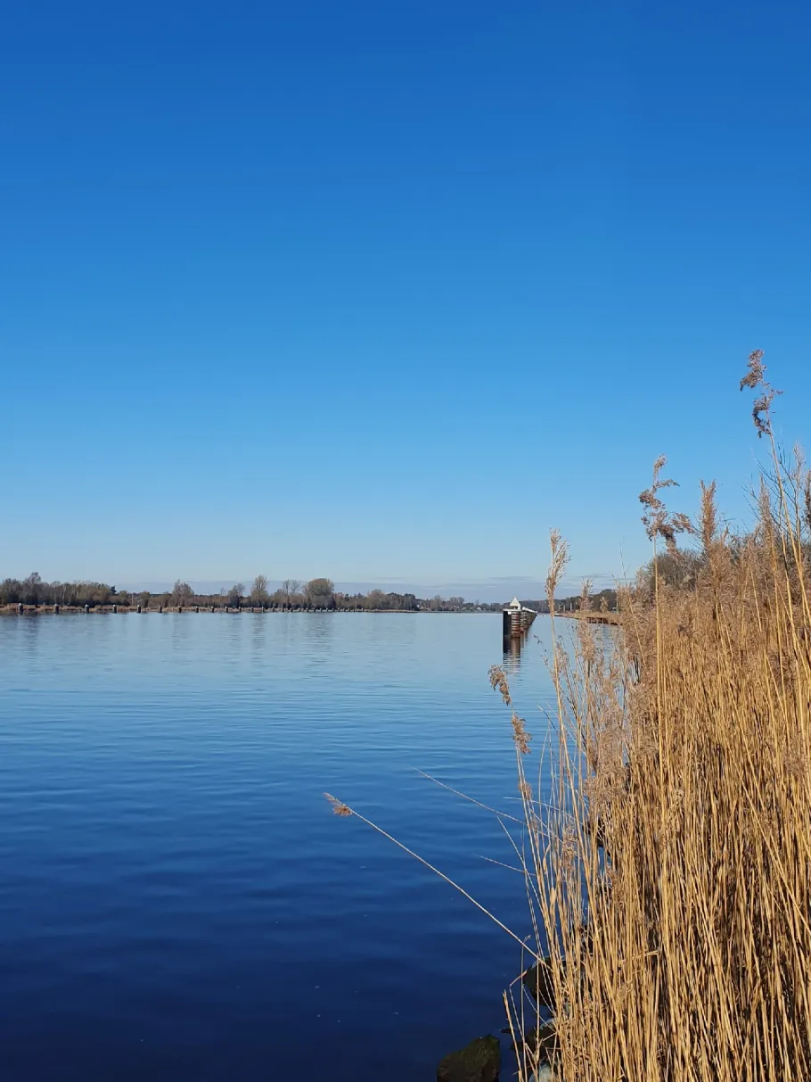 Nord-Ostsee-Kanal (Schülp) angeln