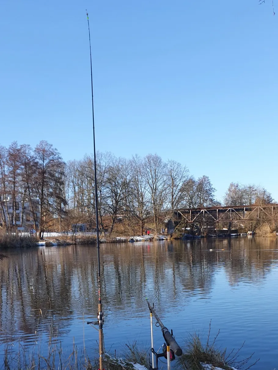 Oder-Havel-Kanal (Oranienburg) angeln